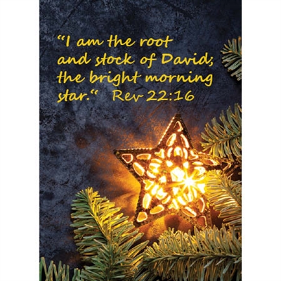 The Christmas Star